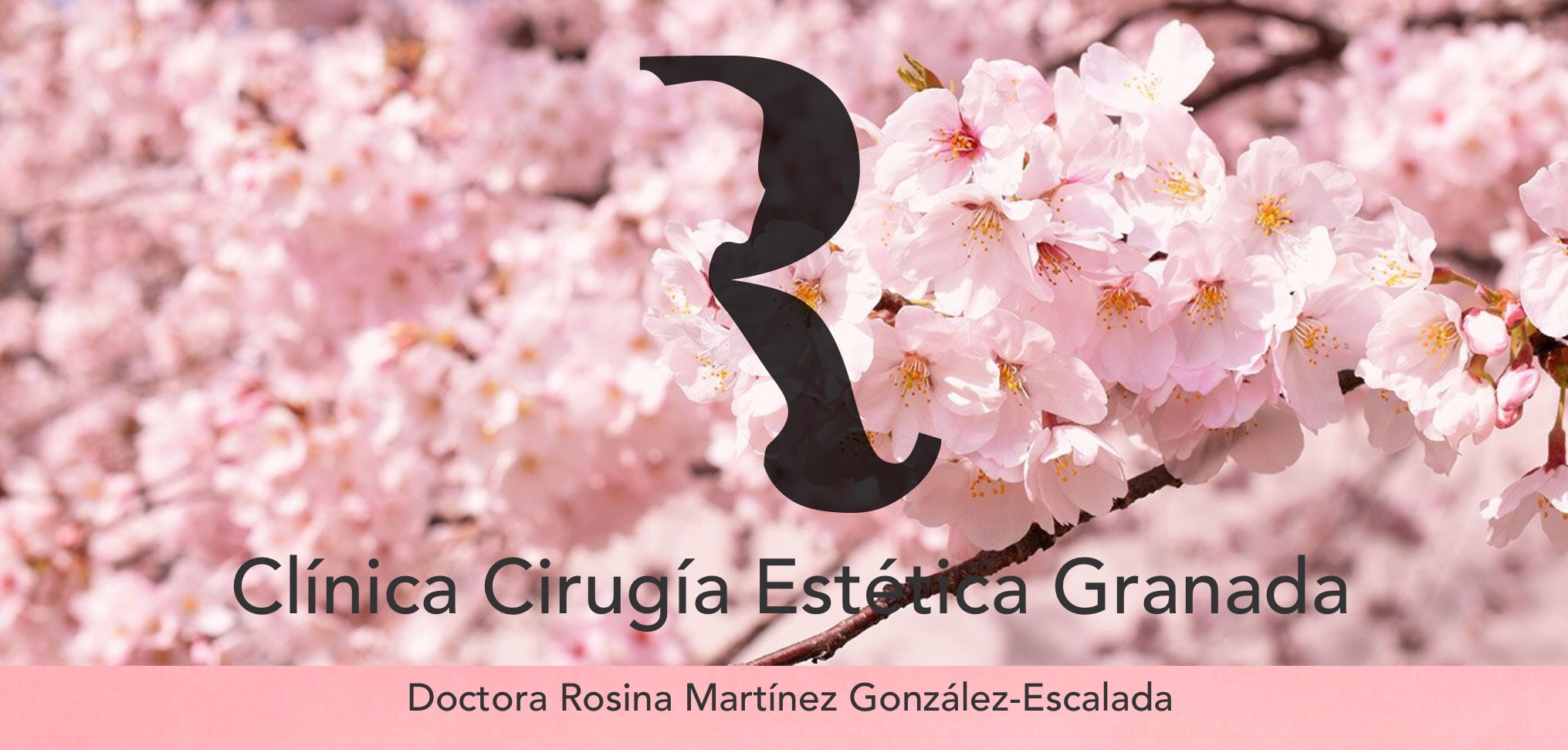 Doctora Rosina - Cirugía Estética Granada