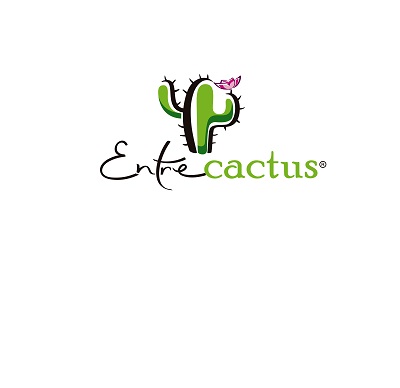 Entrecactus